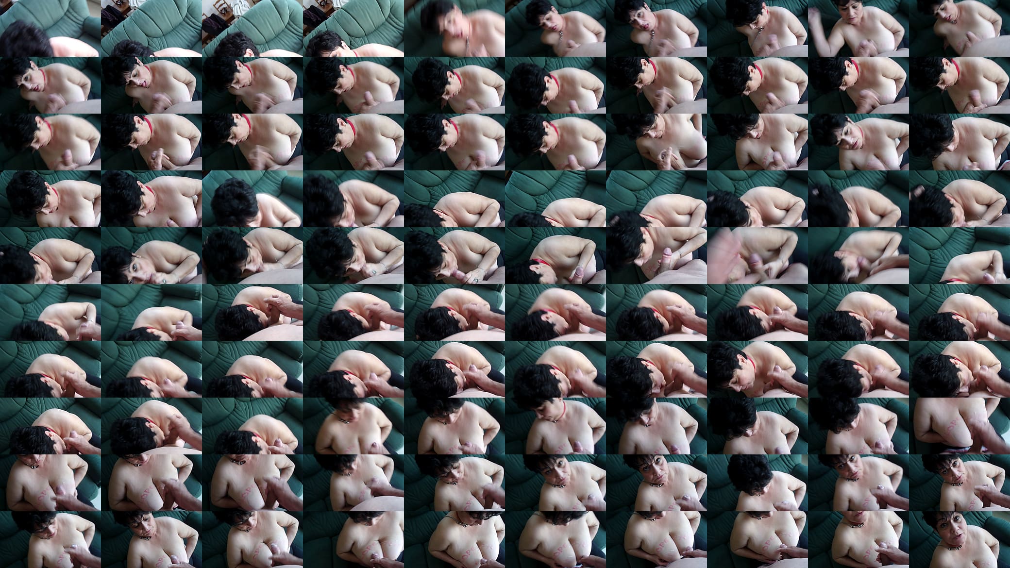Chienne Marie se fait arroser les grosses miches par le parisien 预览图