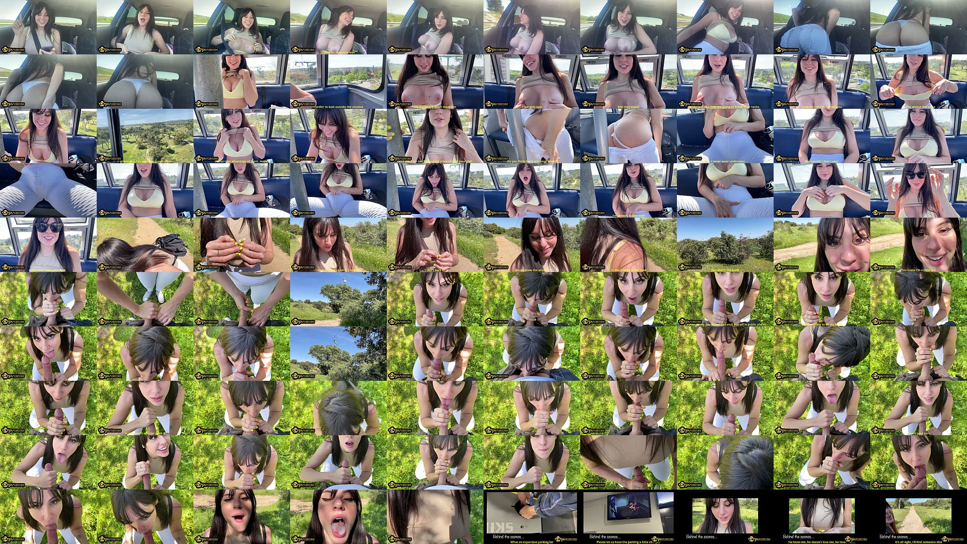 Big Titted Slut Sucks Cock in Public 预览图