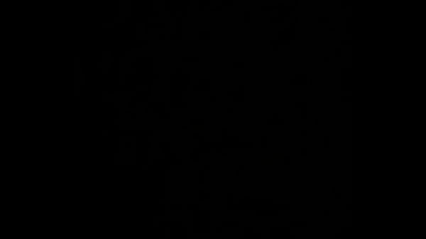 trim.8744D844-2CAA-4156-82ED-46B4BF38EAE8.MOV