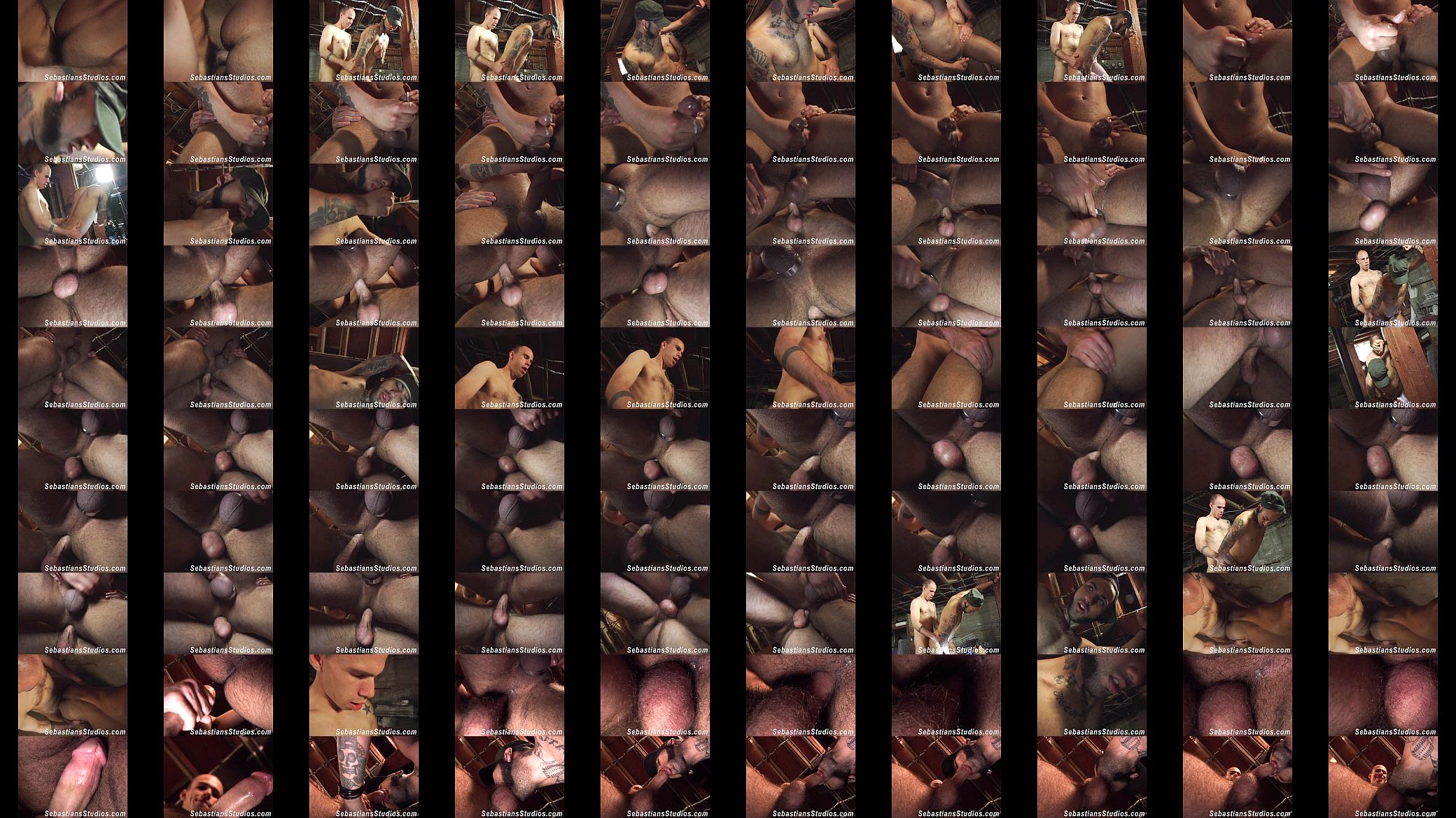 Raw Fucking Cum Pigs 预览图