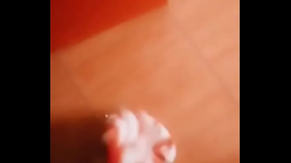 PERO SI YO NO TENGO NOVIO