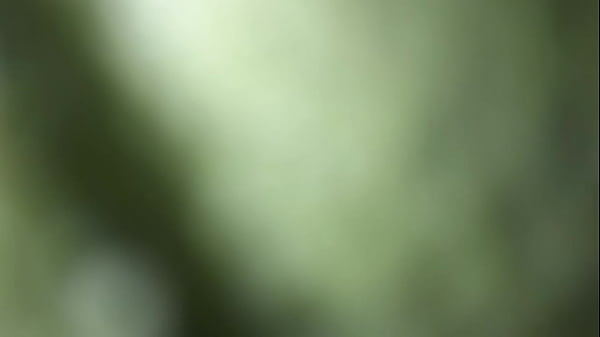 thumb b en mi casa