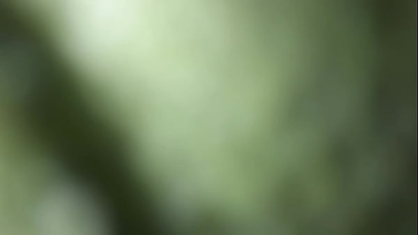 thumb b en mi casa