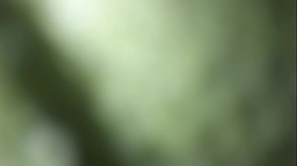 thumb b en mi casa