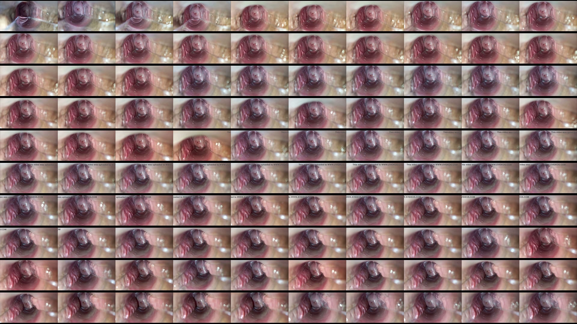 vaginal orgasmo 2 预览图