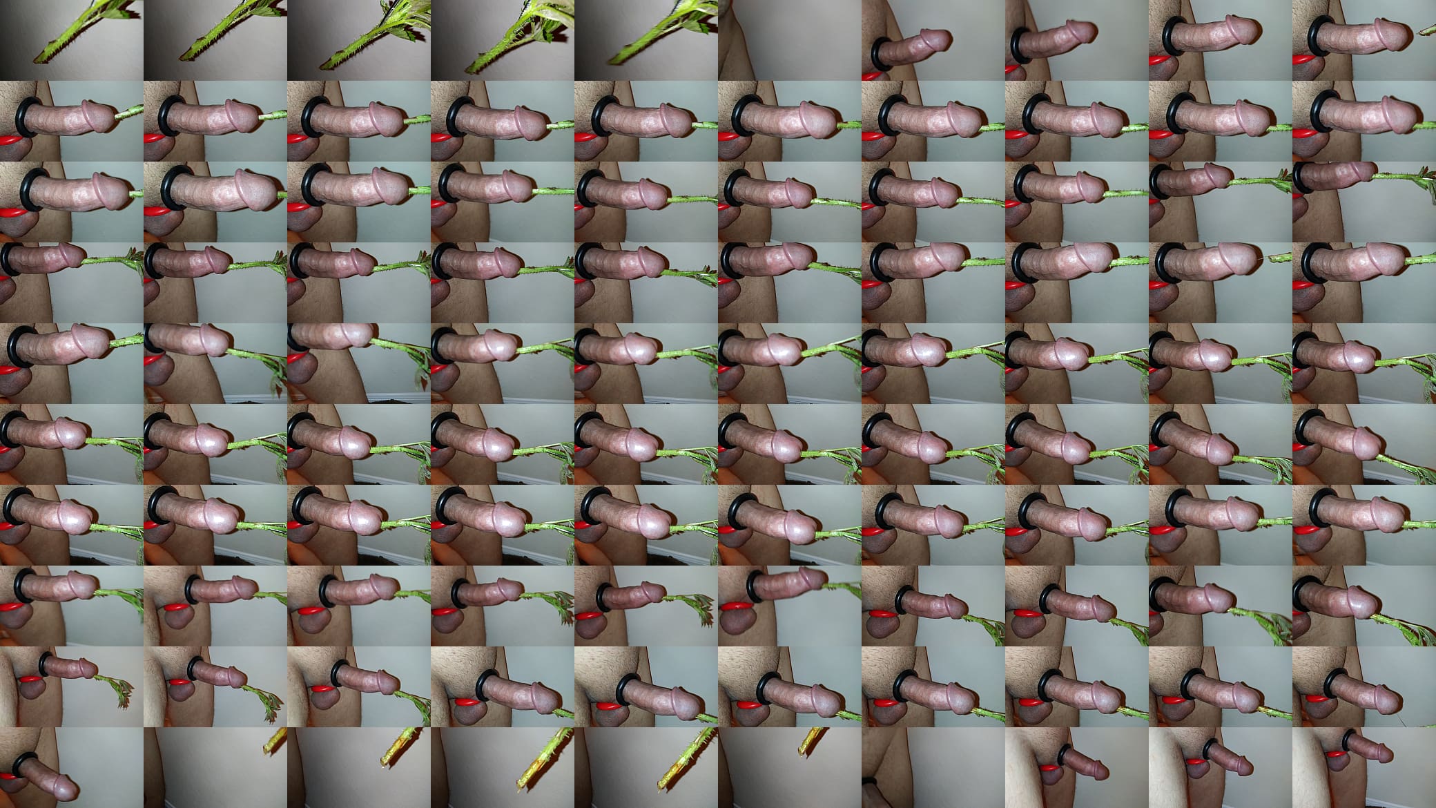 spiky plant insertion 预览图