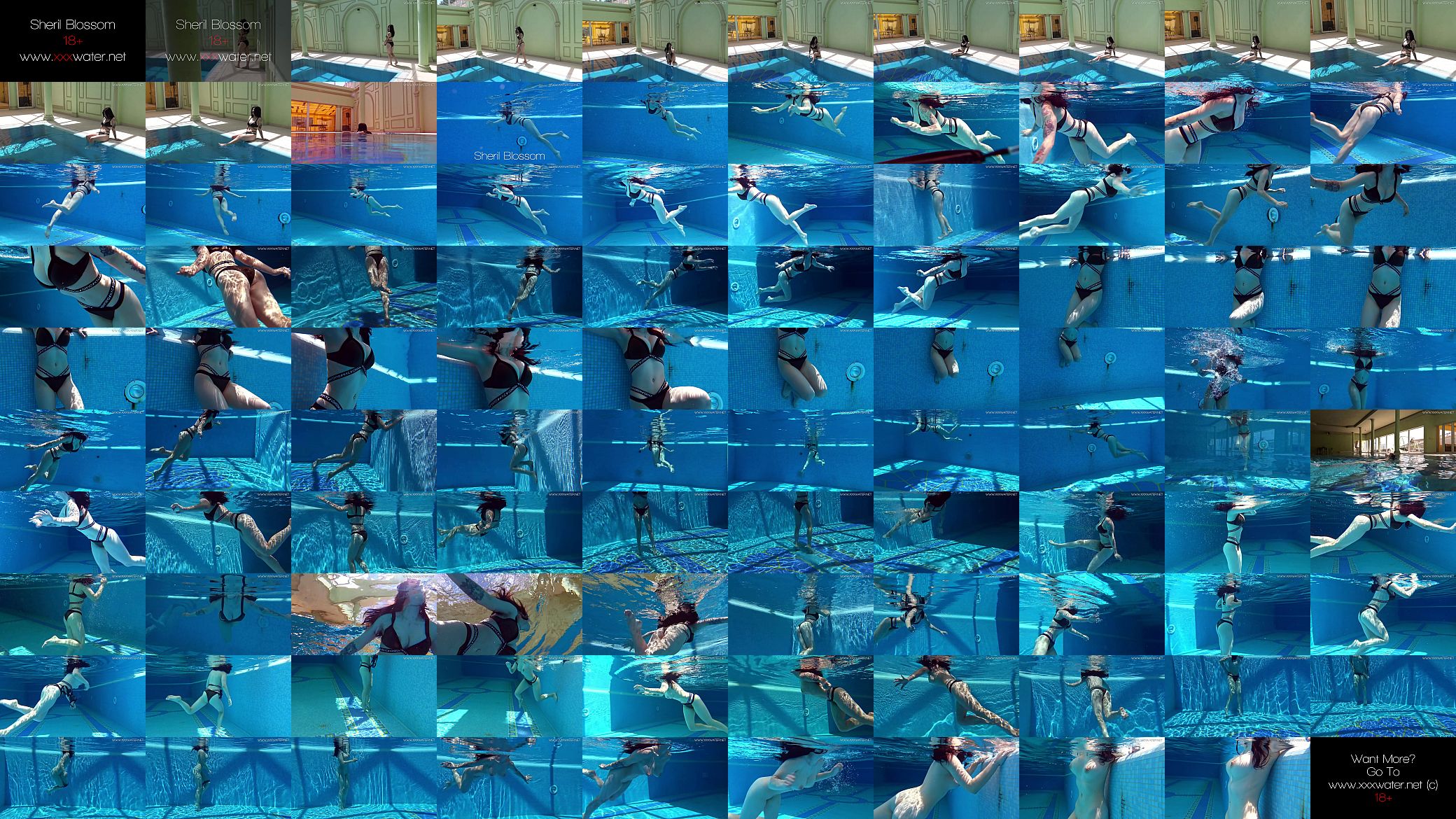 Sheril Blossom hot Russian underwater 预览图