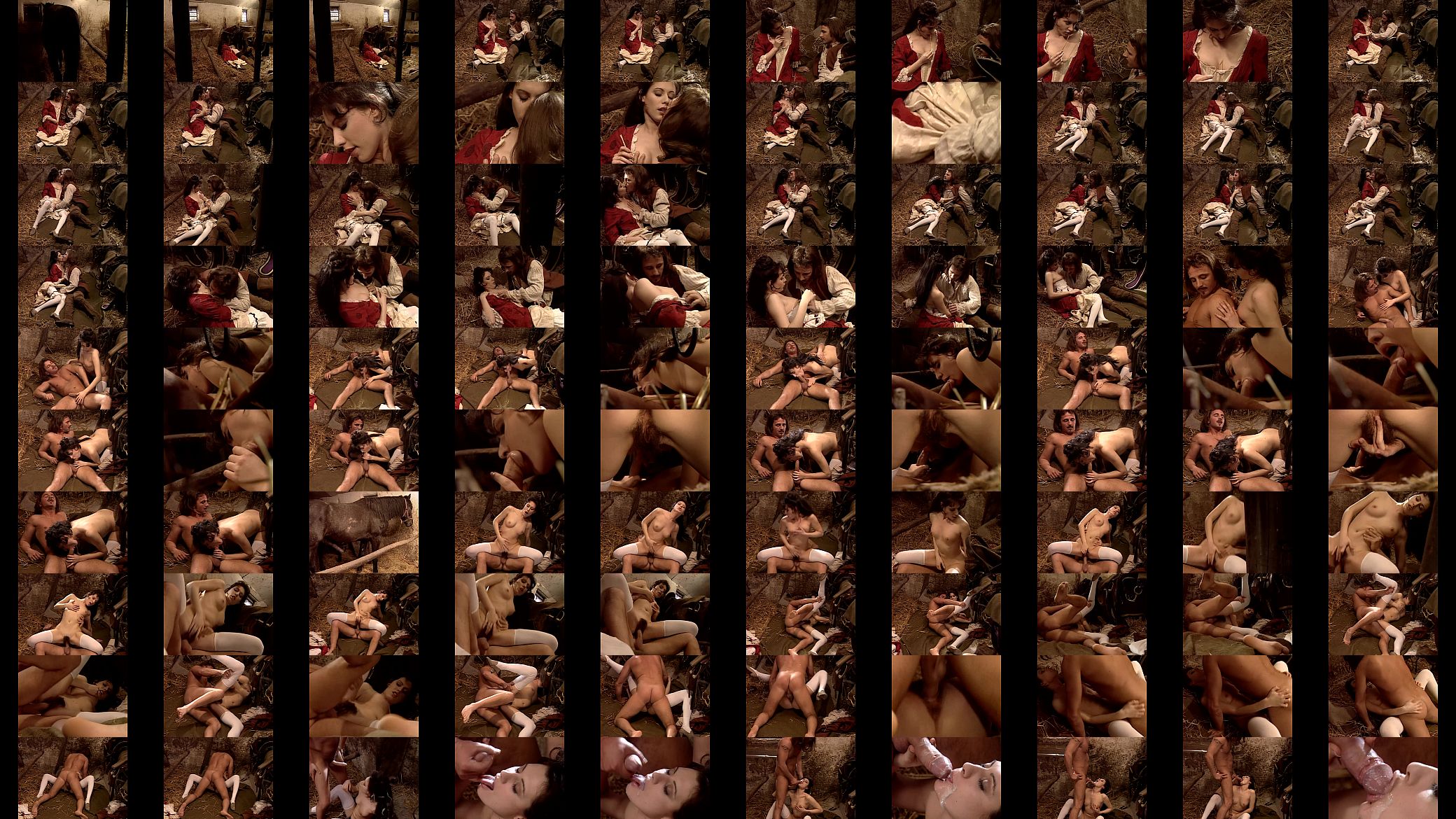 Hot whore in historical dress banged in a barn 预览图