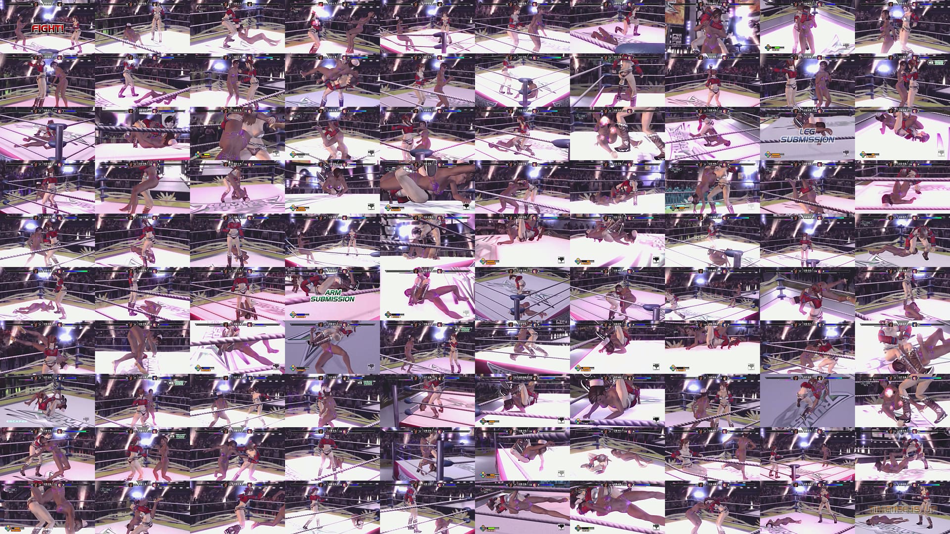 Rumble Roses XX Anesthesia Dominated by Aigle for 10 Minutes 预览图