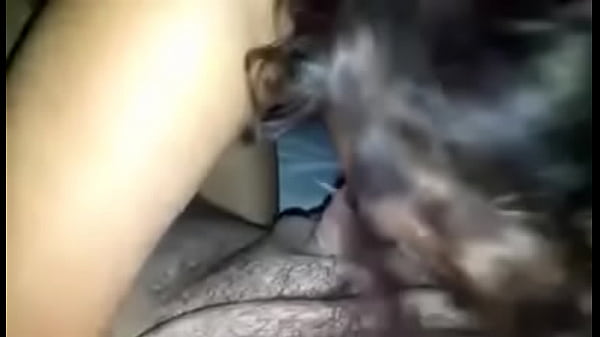 Download Video - 14594462 716948888457354 1461212131104915456 n