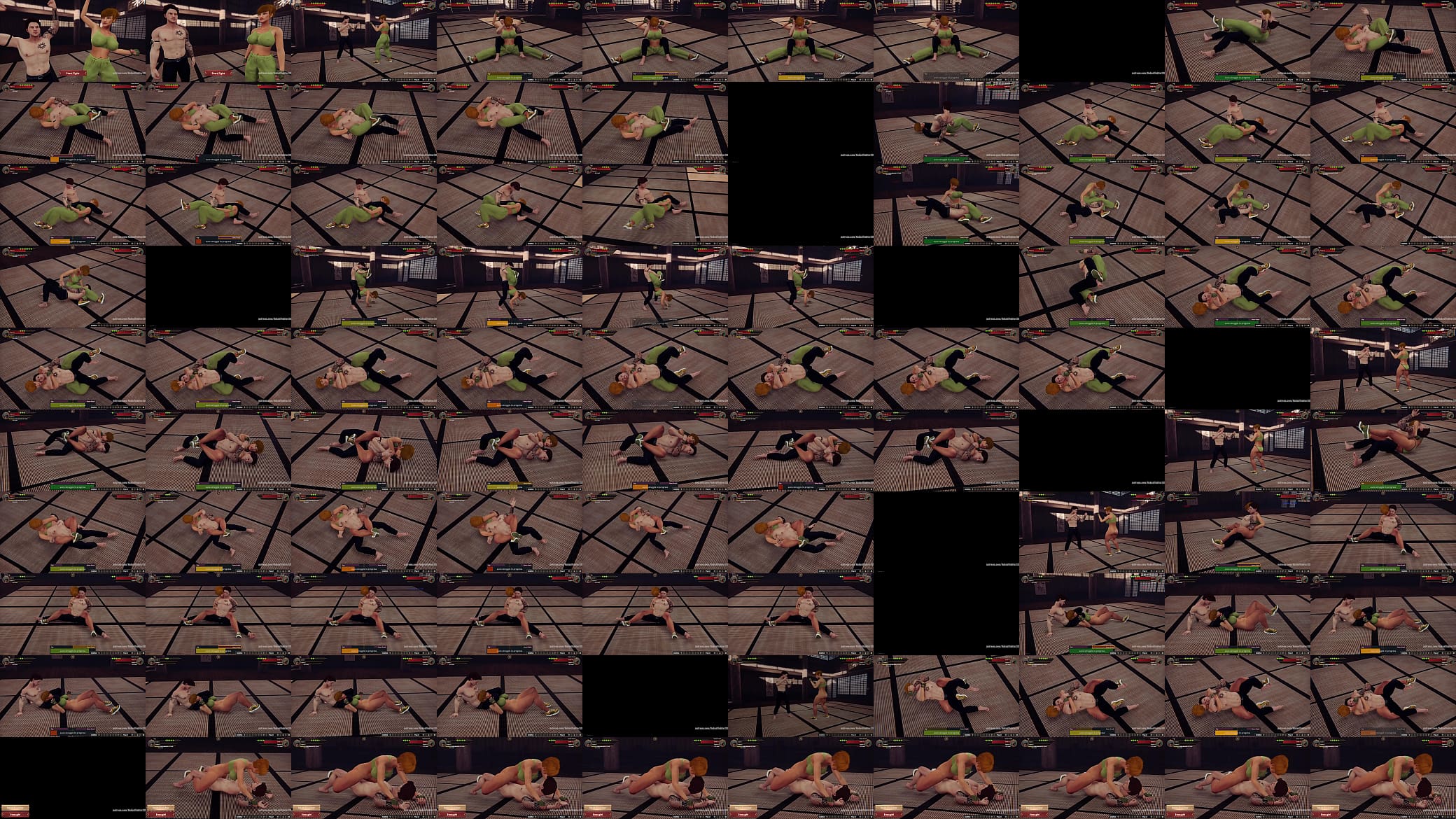 Gigi VS Karen Krash (Naked Fighter 3D) 预览图