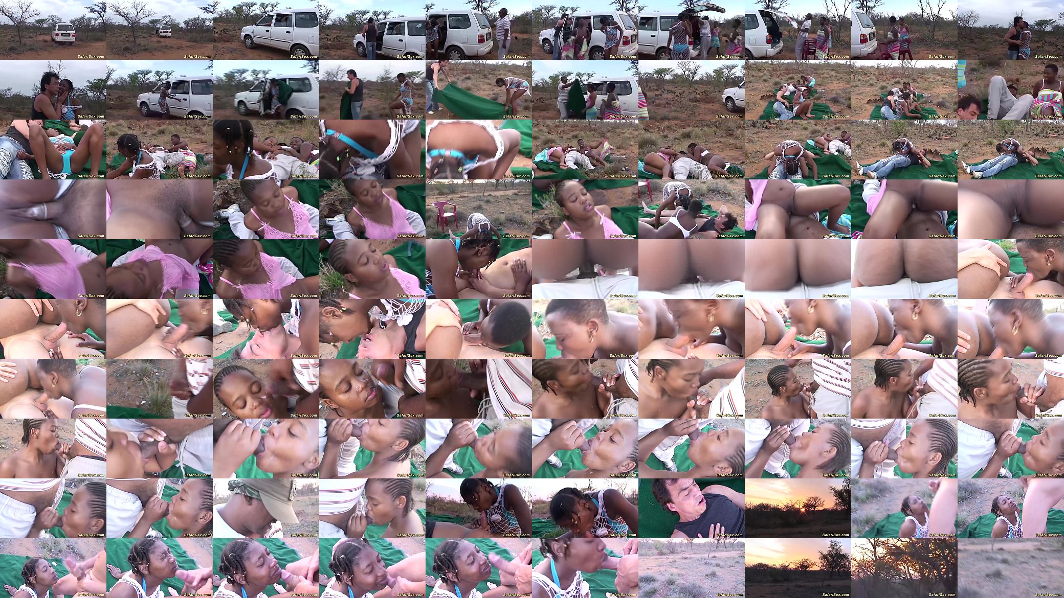 real african safari groupsex orgy in nature 预览图