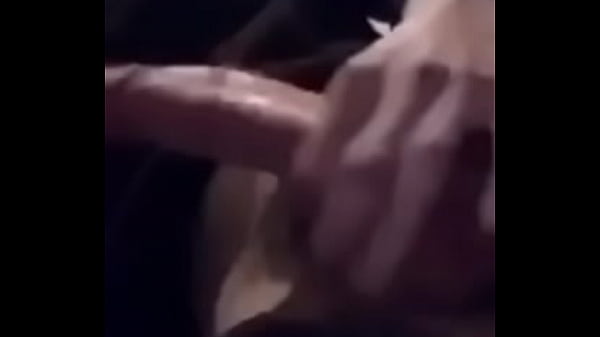 Bite De La Région De La Baie