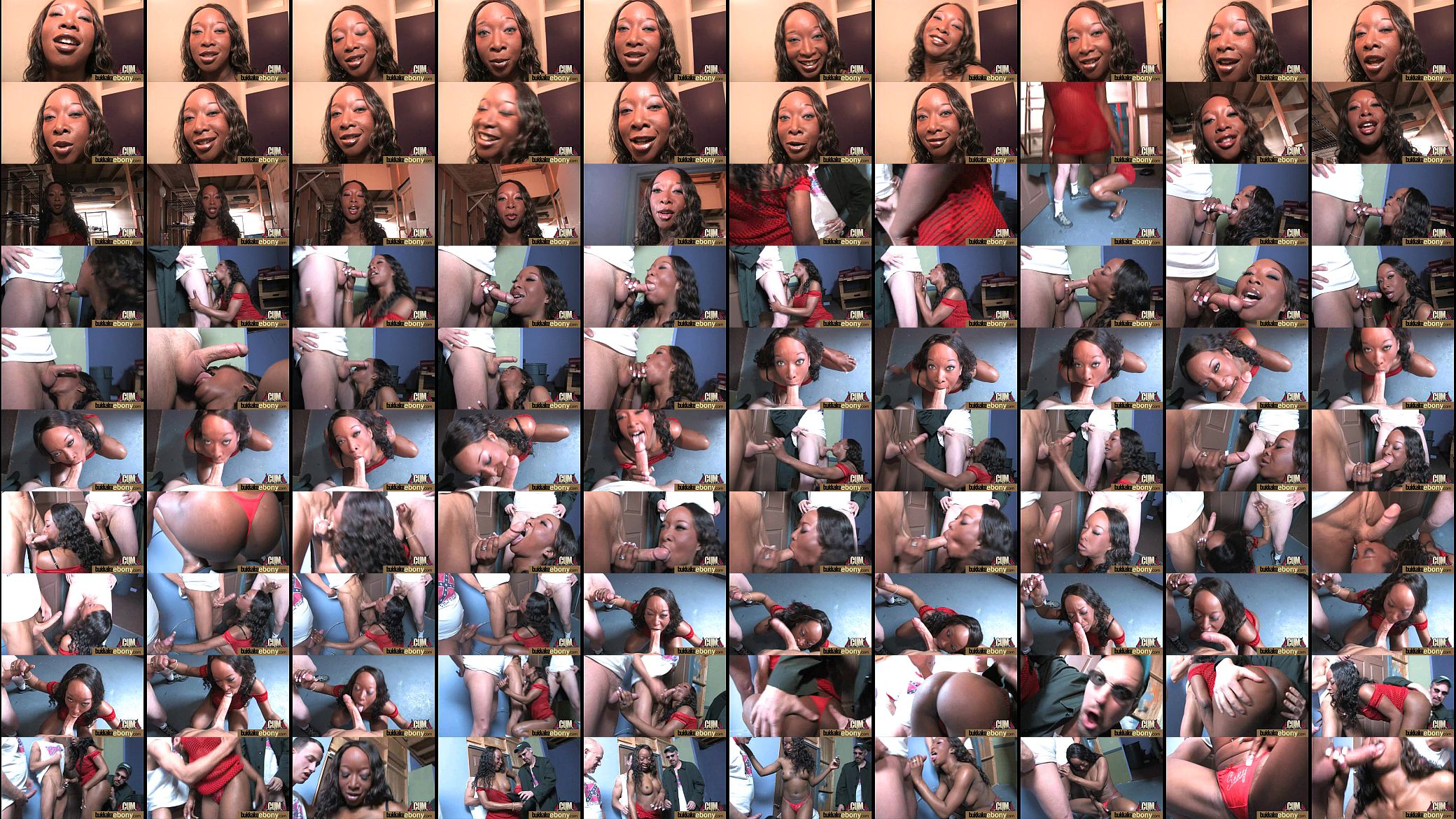 Ebony Gang bang and CUM FEEDING 16 预览图