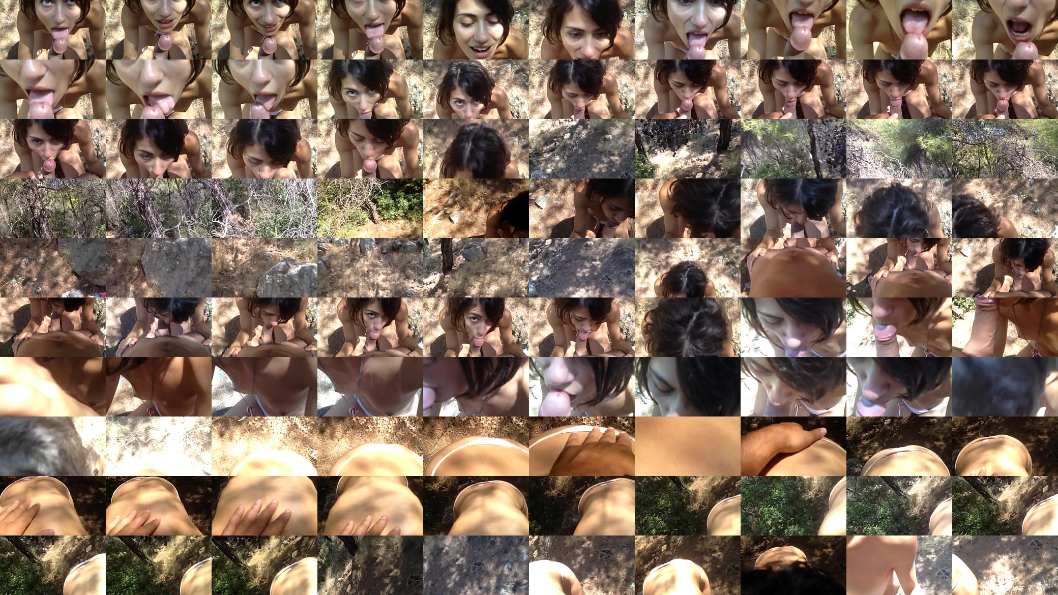 Awesome blowjob in the woods 预览图
