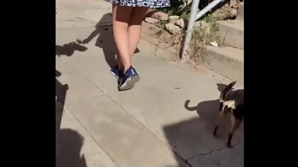 Download Video - Rompiendo culo de hermosa latina pero llego su novio en plena accion y todo sale mal - culo grande siendo follada por enorme verga y su concha queda destrozada