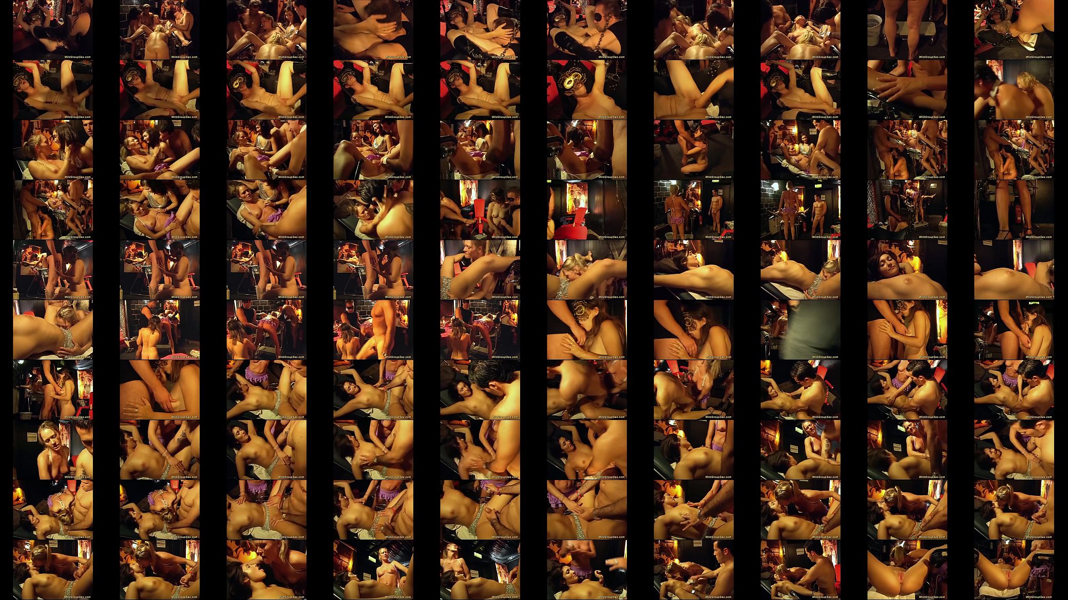 one night in a german swinger club 预览图