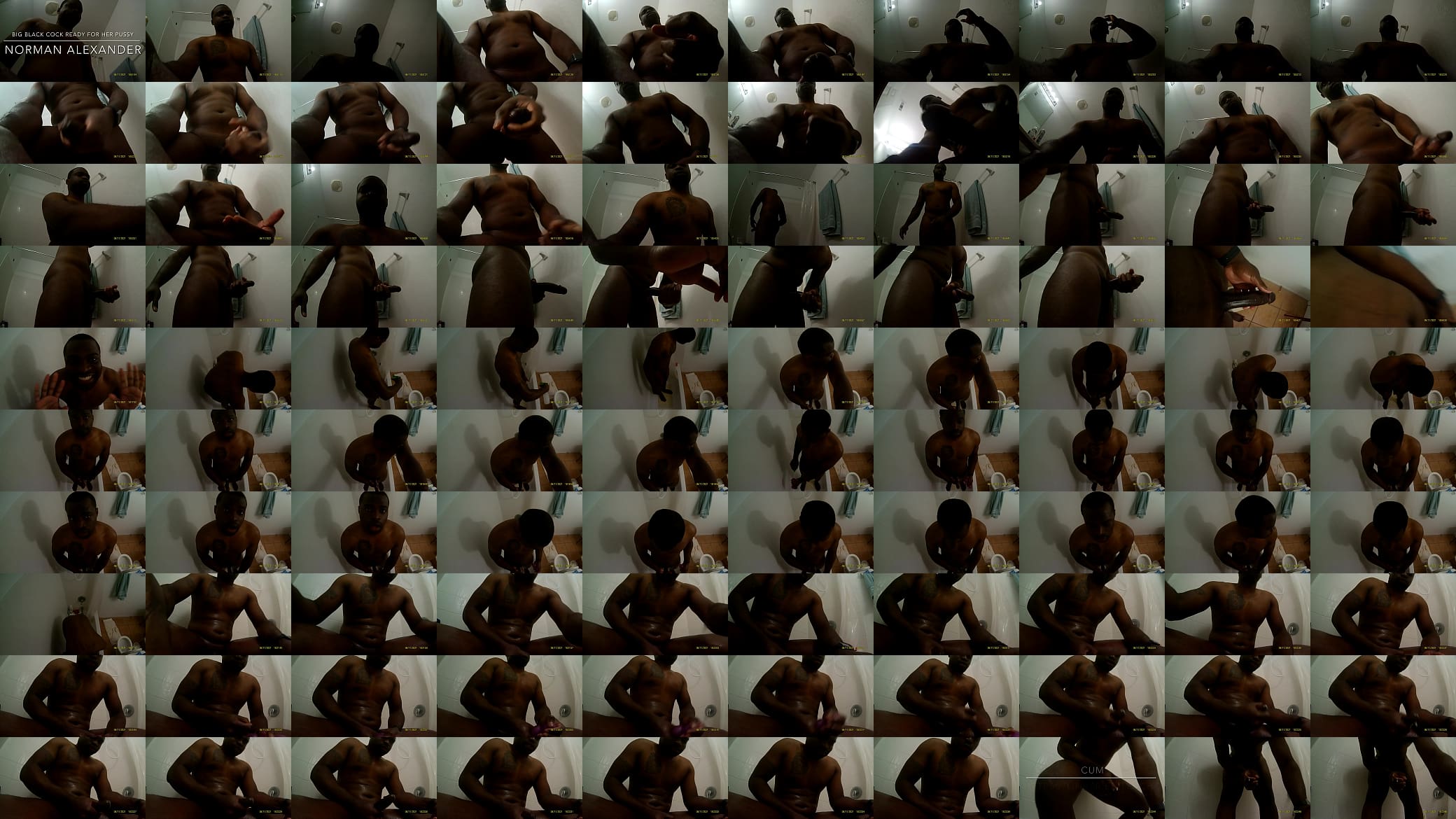 Big black cock ready for wet pussy solo masturbation. 预览图