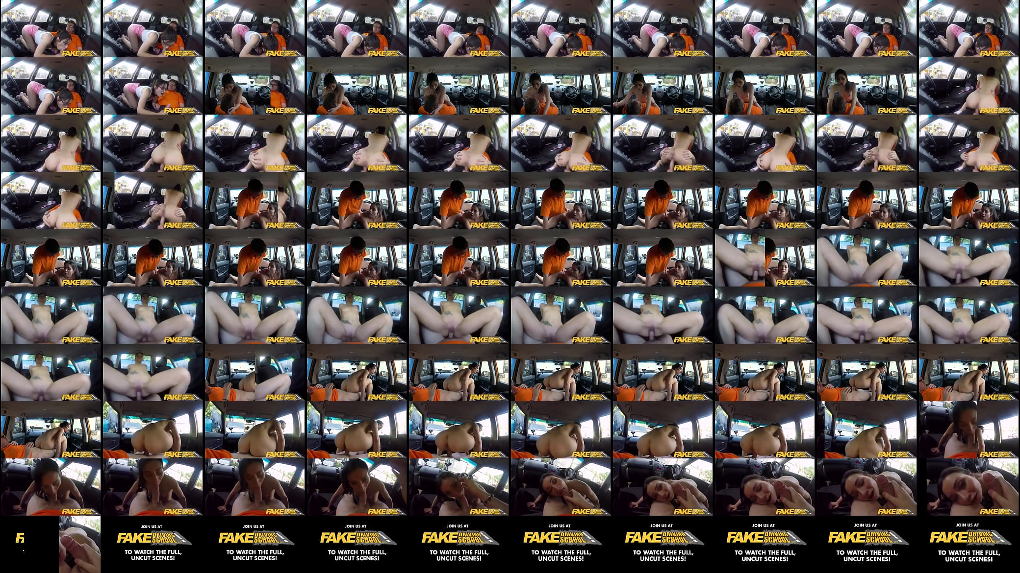 dentro do carro 预览图