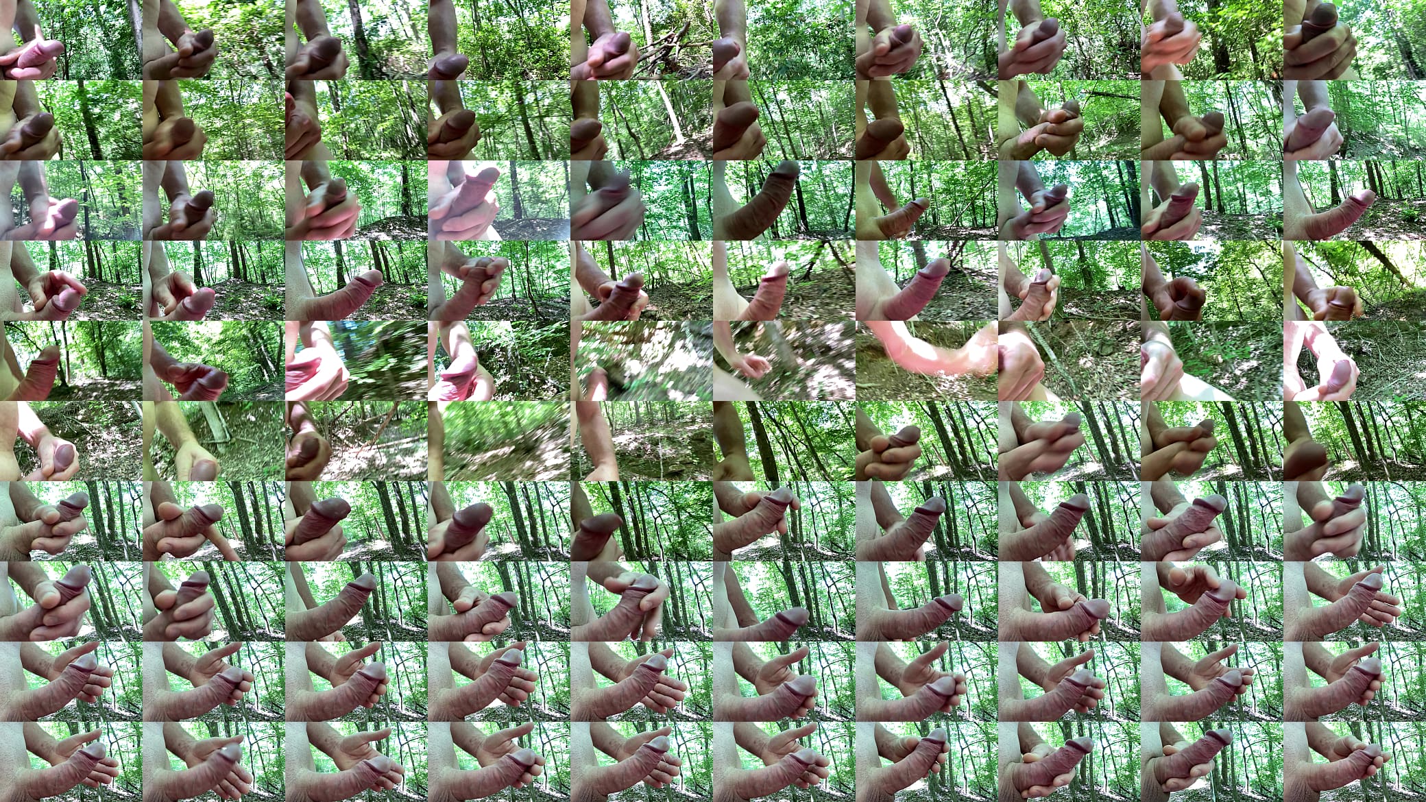 Hiking naked with cock in hand 预览图