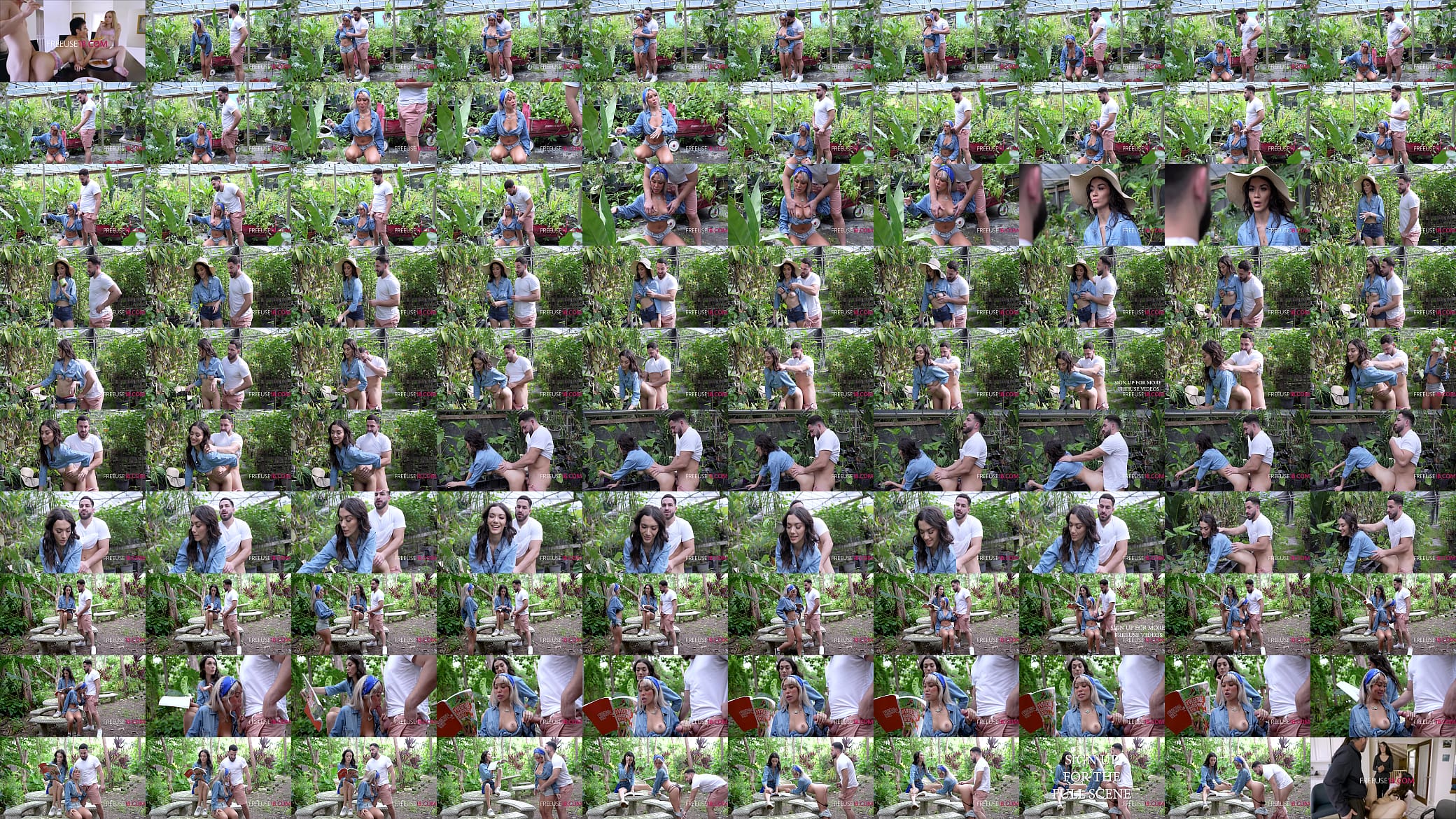 Free Use Plant Nursery 预览图
