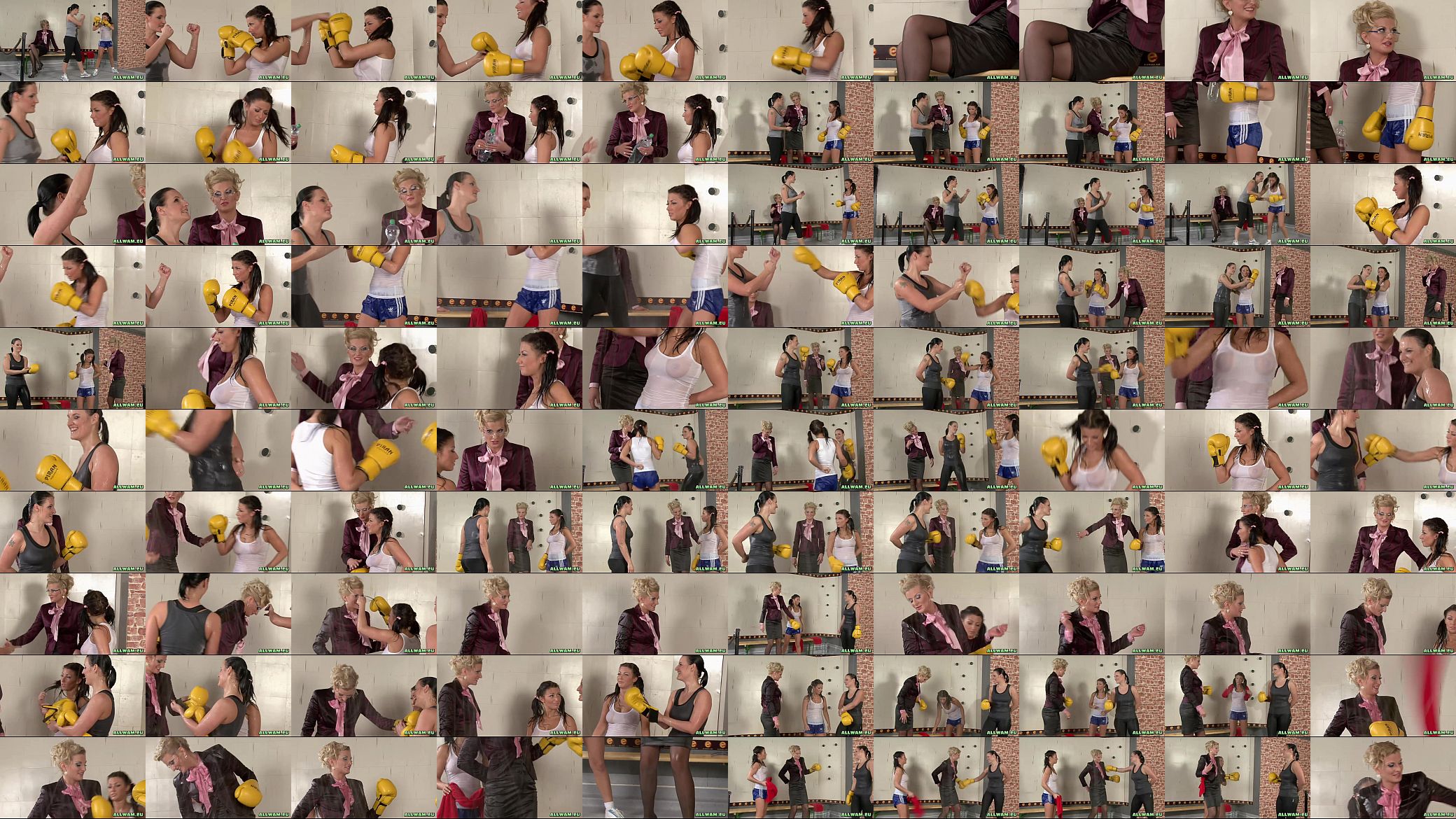 some hot wetlook bitch boxing 预览图