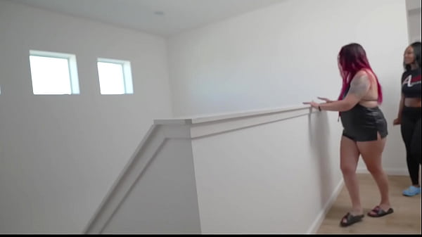 Preparativos para Anal