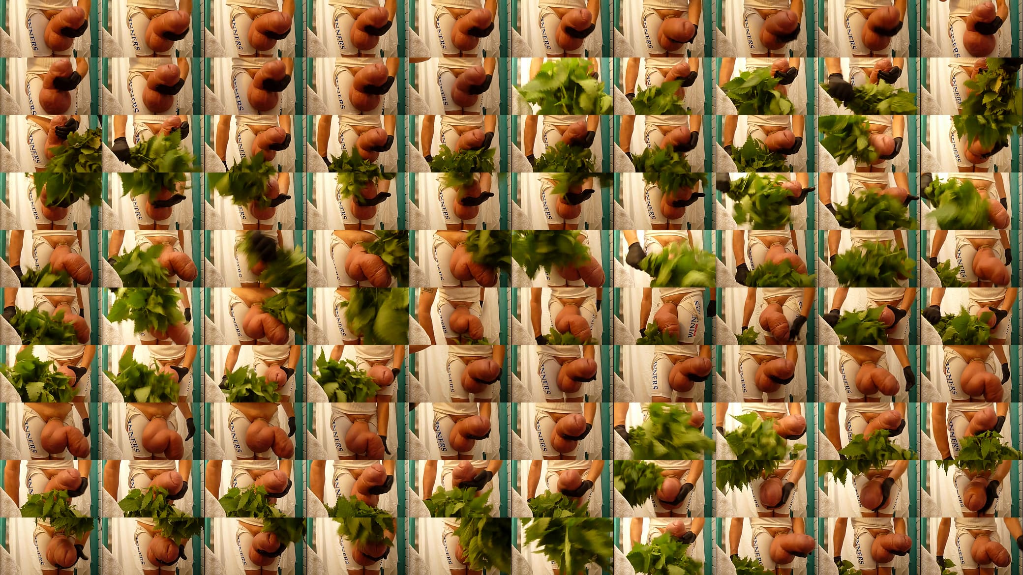 NETTLES AND MONSTERMEAT 预览图
