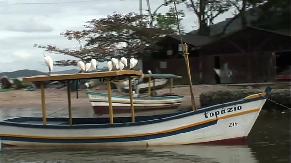 Porn amator with latino boy not really gay fucking bareback with boy