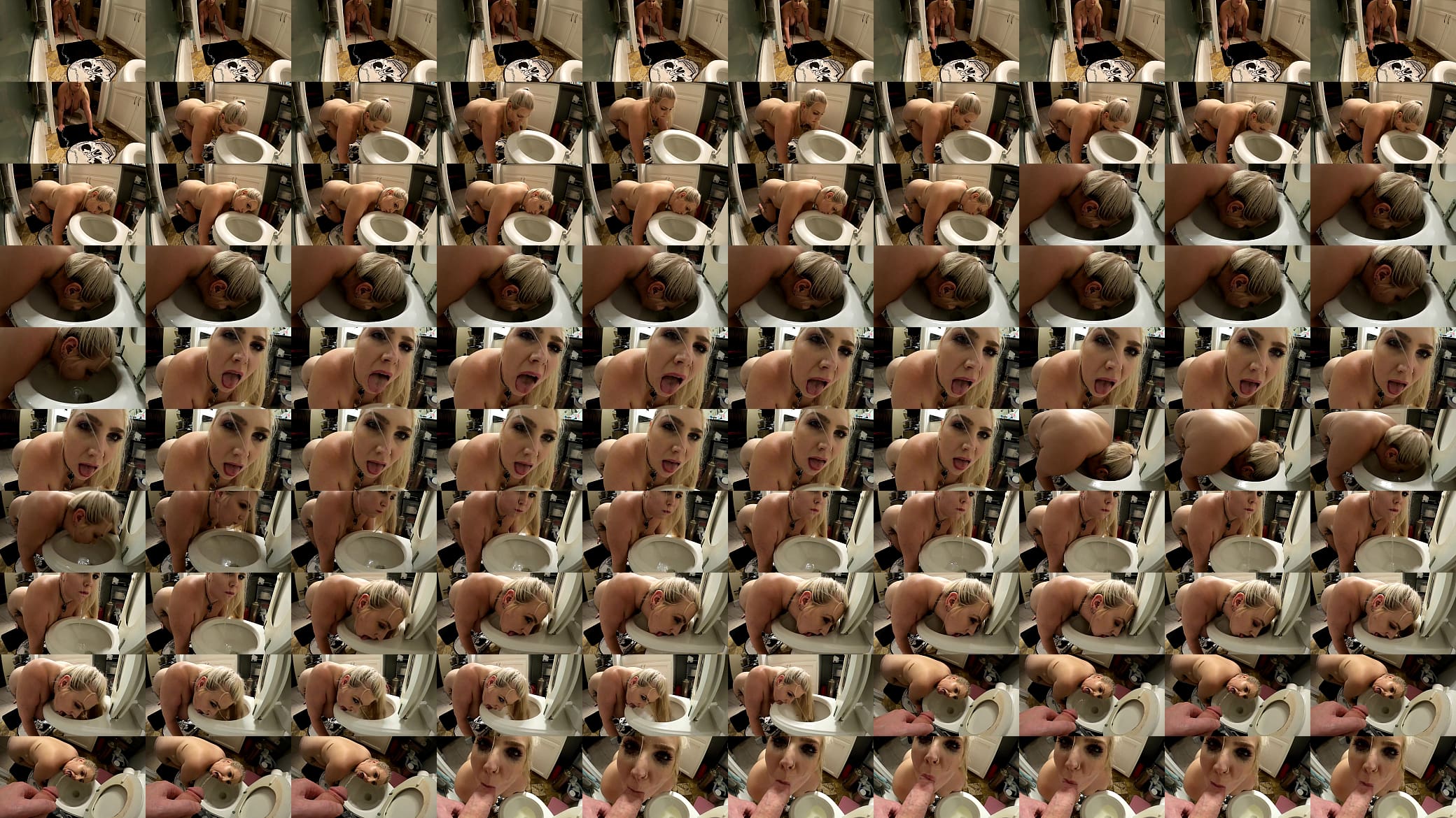 Toilet Slut 预览图
