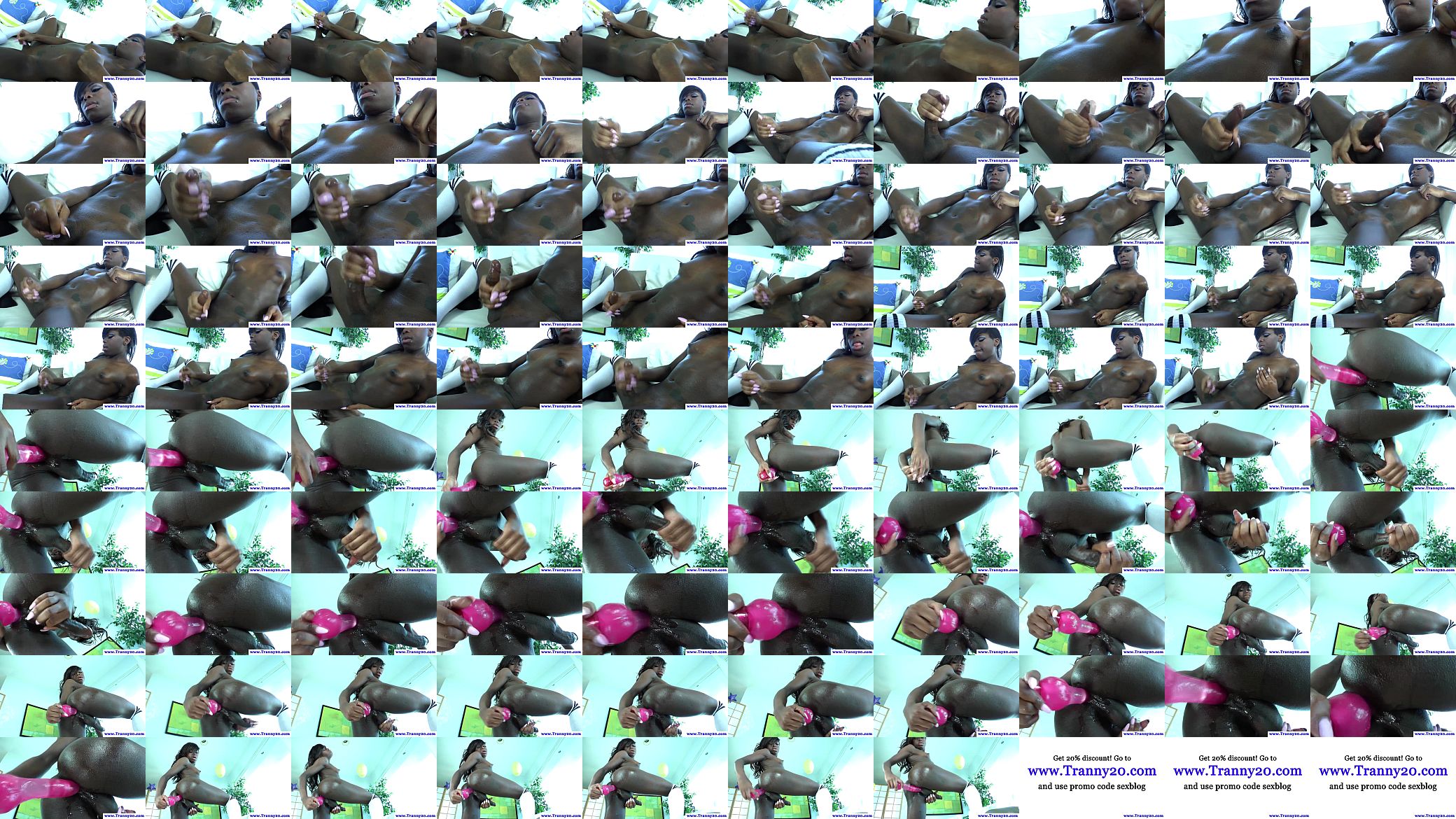 Shemale ebony tranny sticks toy in ass 预览图