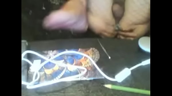 Dans Un Nylon De Réseau