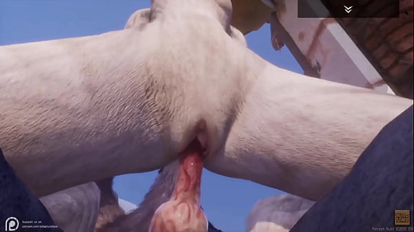 Download Video - Lobo alfa comendo a Loba gostosa em Wild Life