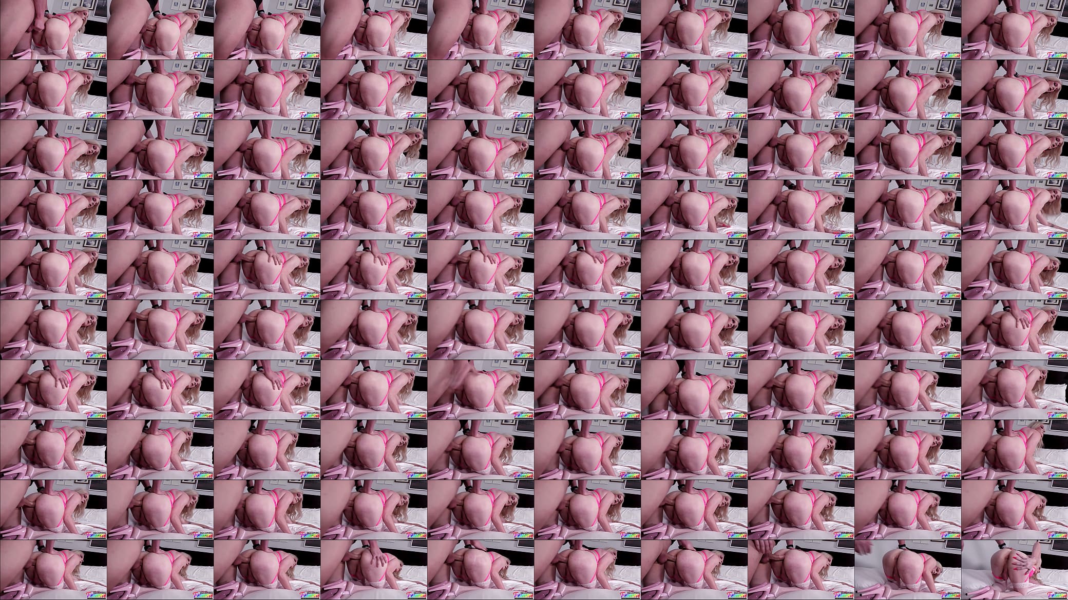 Favorite sissy anal scene 预览图