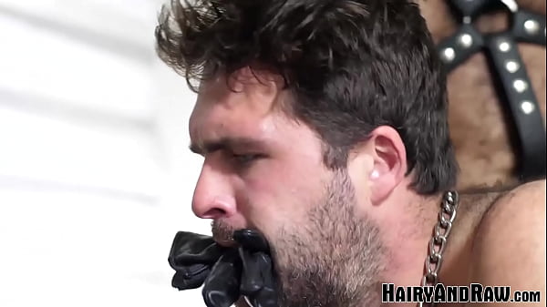 HAIRYANDRAW Bearded Steve Sommers Raw Breeds Jo...