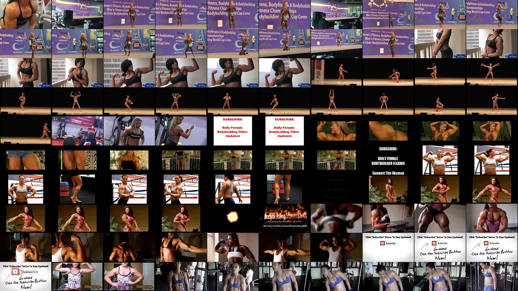 Female muscles 预览图