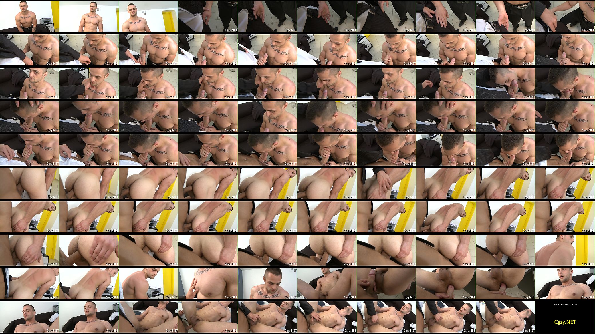 Fleshly and salacious homo sex 预览图