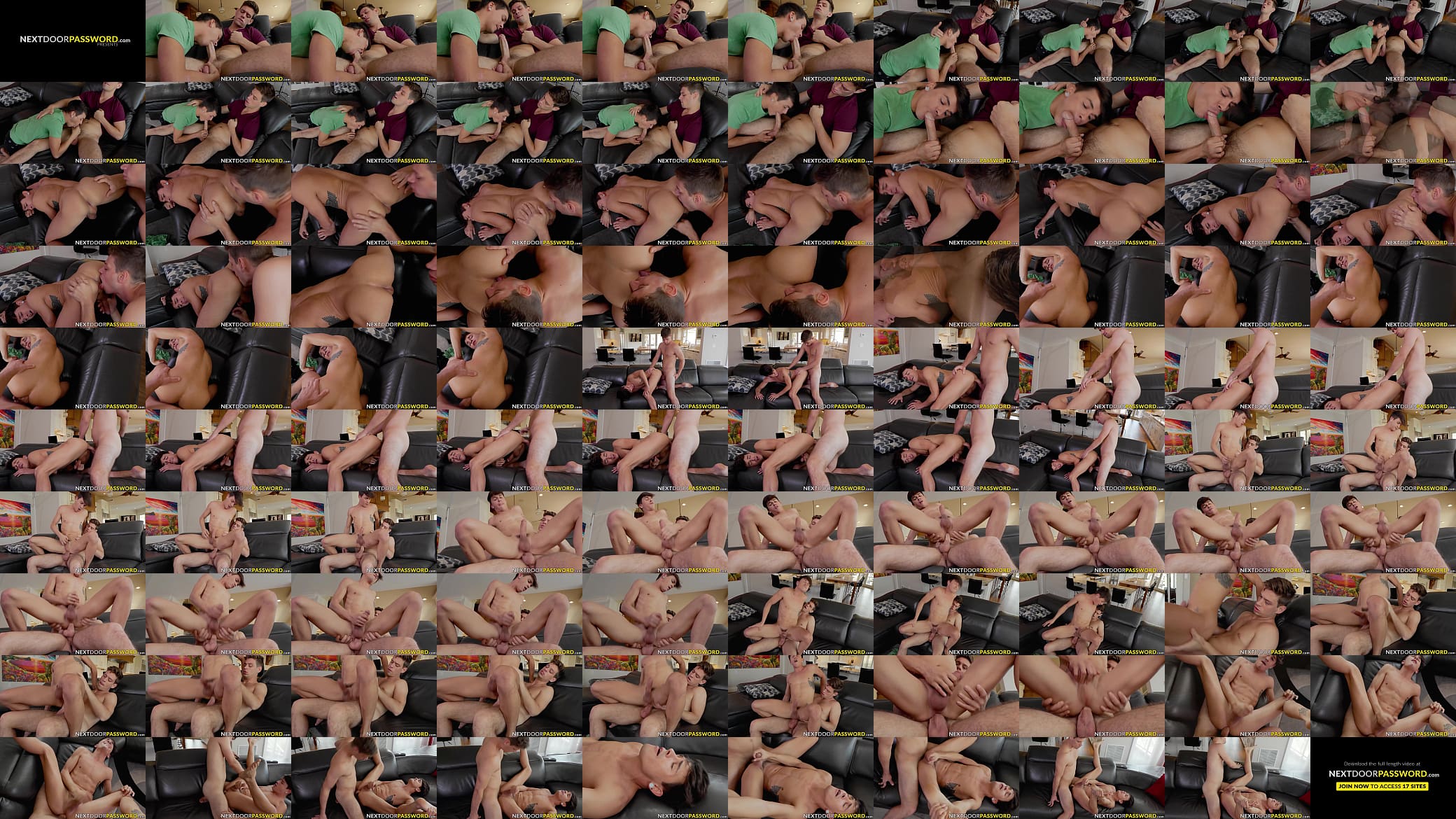 Bigdicked twink Andy Taylor pounds stepbro Michael Del Rays ass 预览图