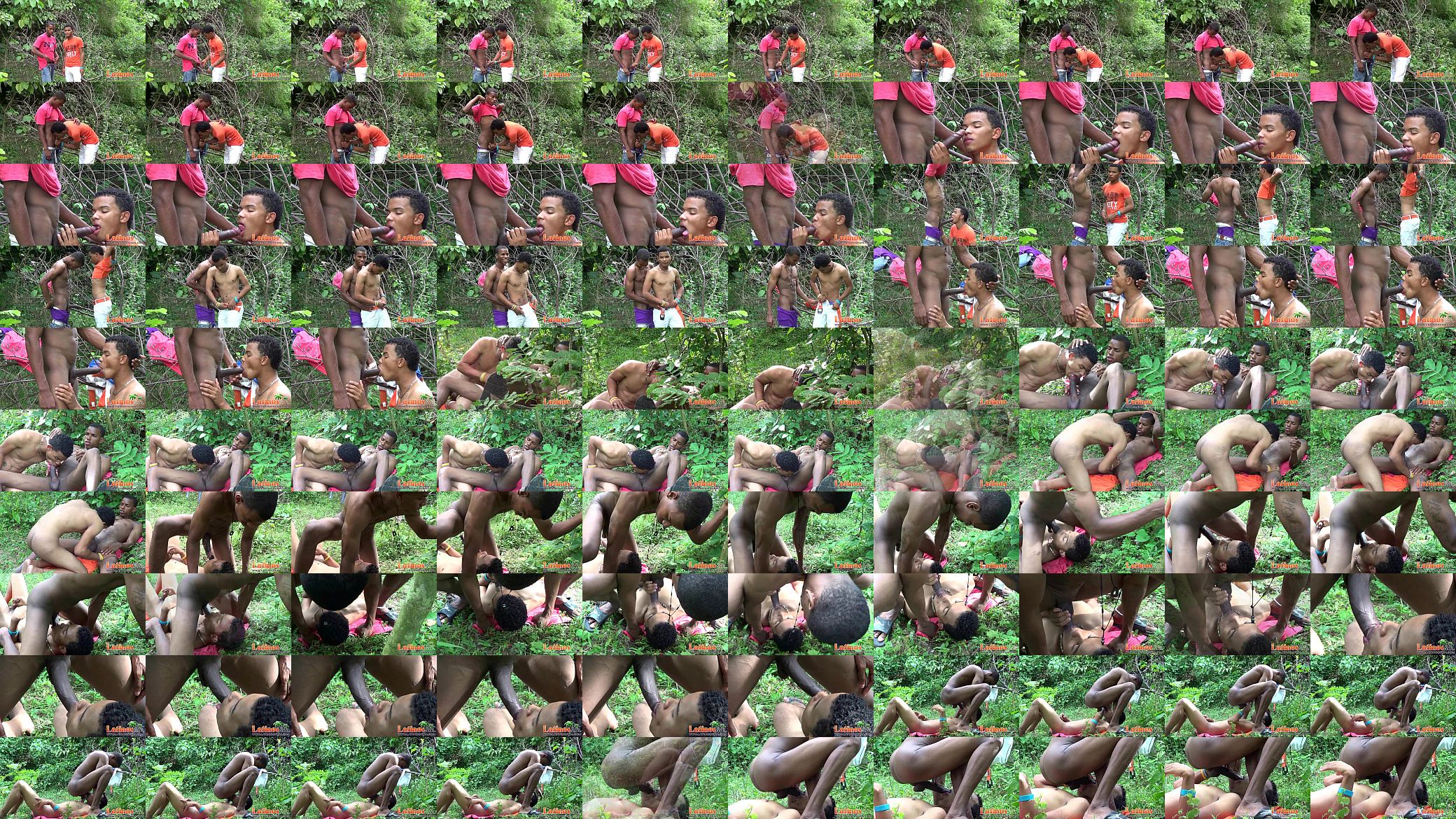 Cock-hungry Latin twinks blowing meat in the woods 预览图