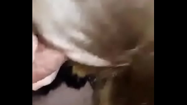 mouth slut