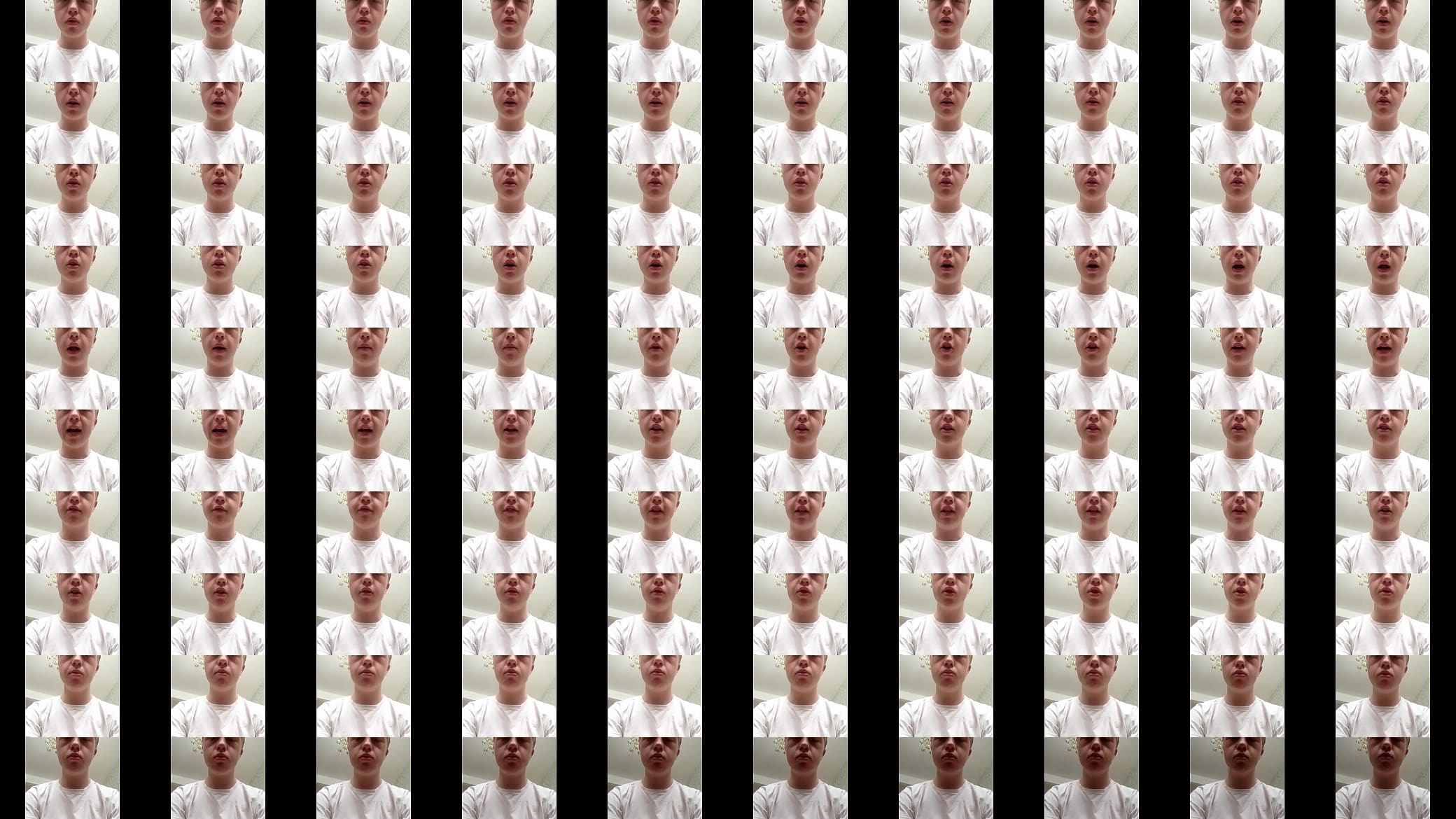Verification video 预览图