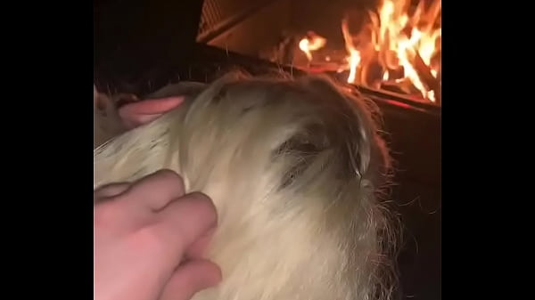 Download Video - Stepbro creampies stepsis by the fire hoping they don&rsquo;t get caught