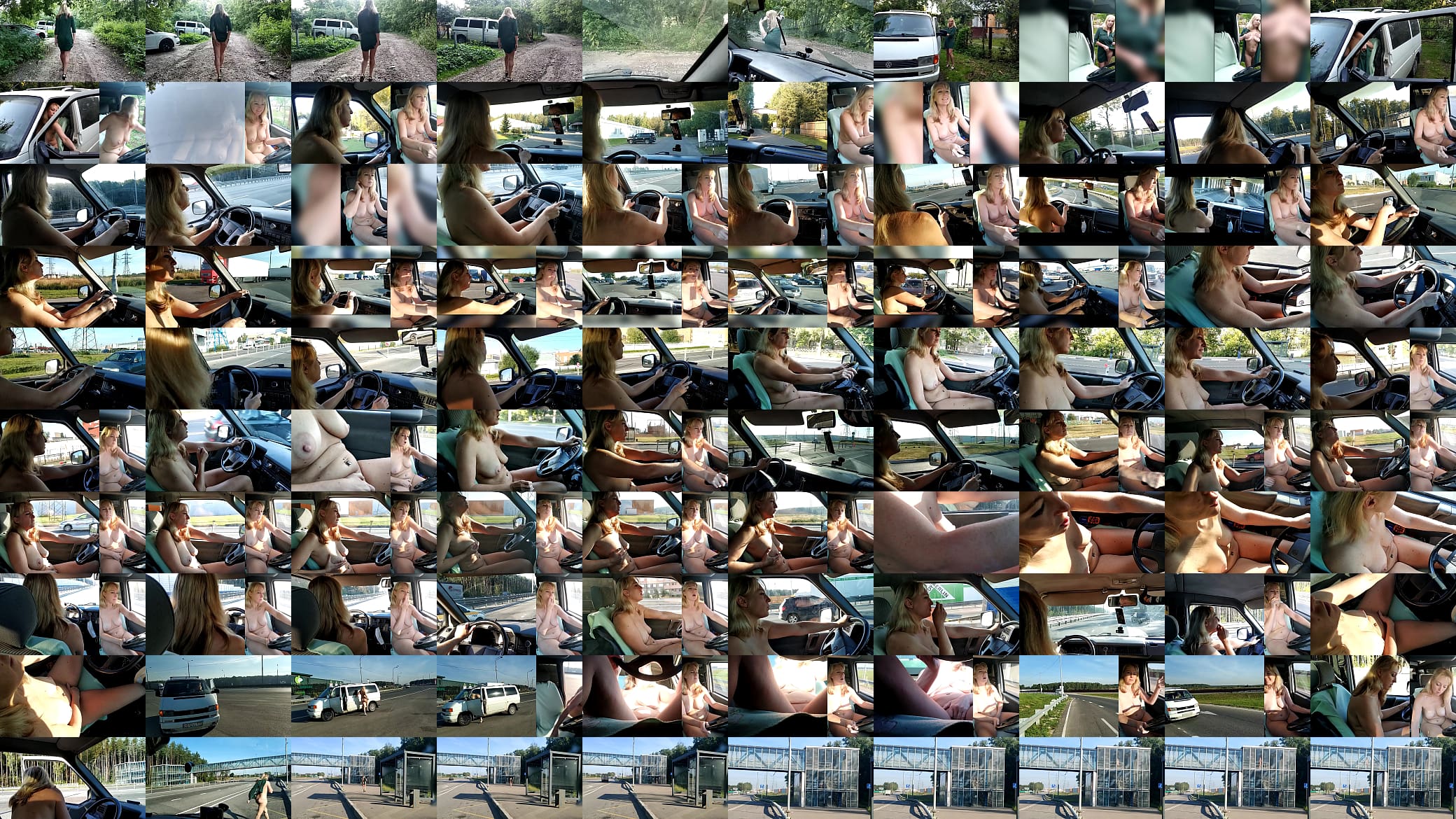 Marta Bellefleur drives naked to work 预览图
