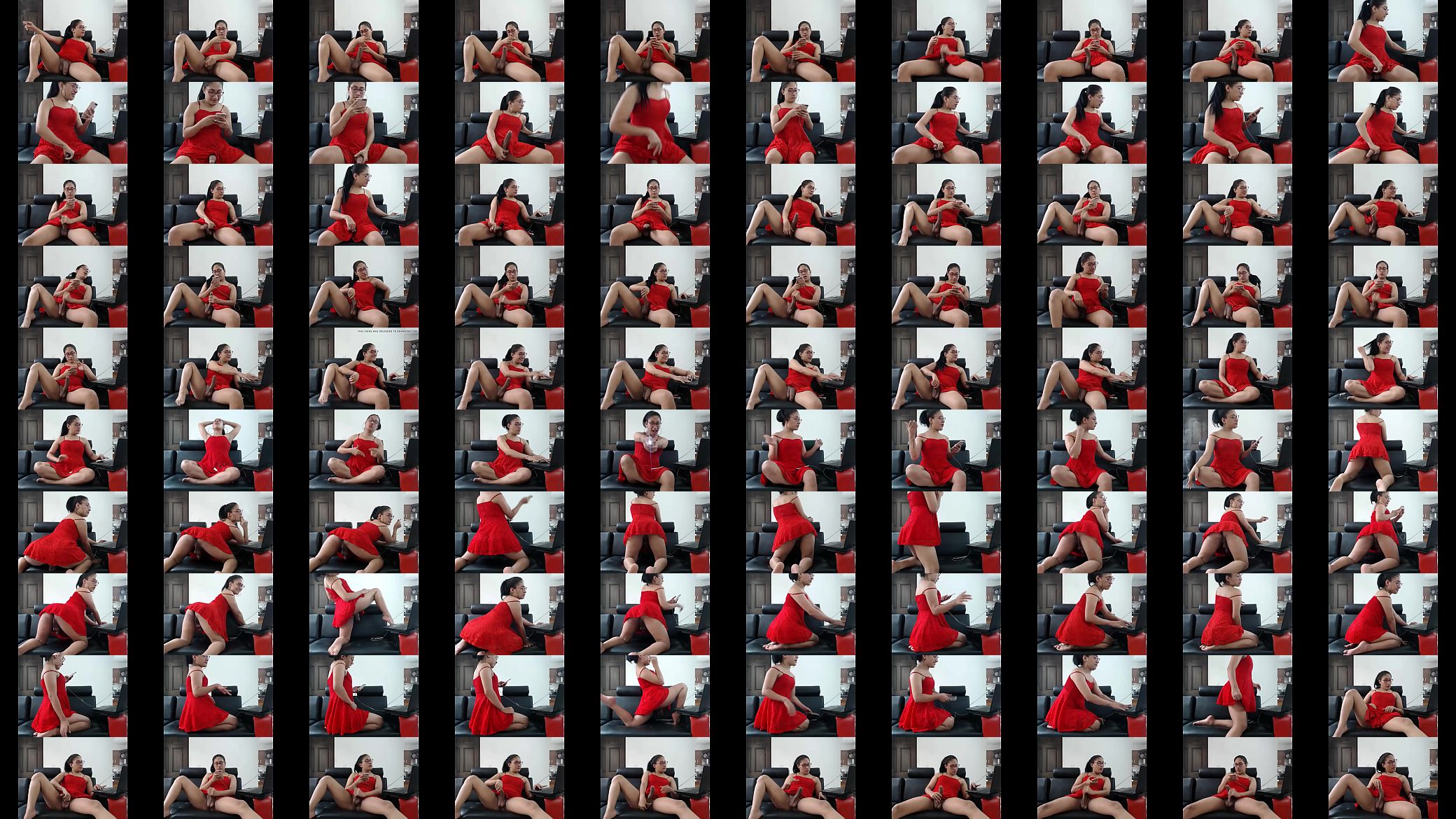 Skarleeth Webcam 8 预览图