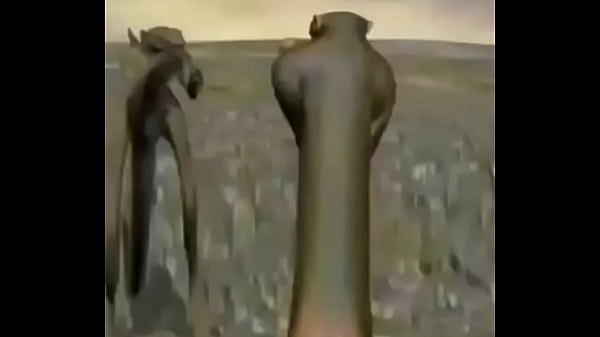 Dotando o julho safado