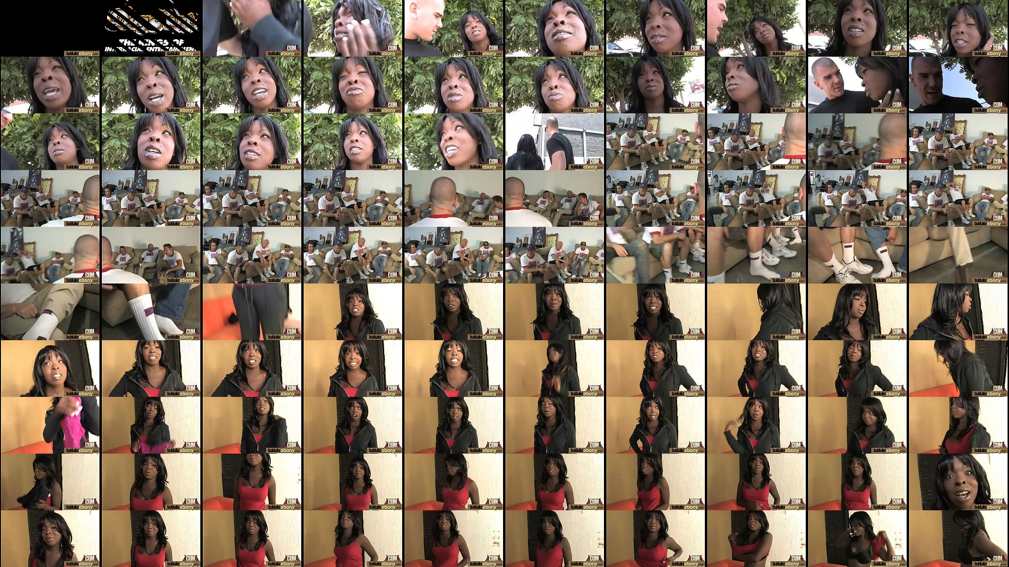 Chocolate babe gets several white big dicks 3 预览图
