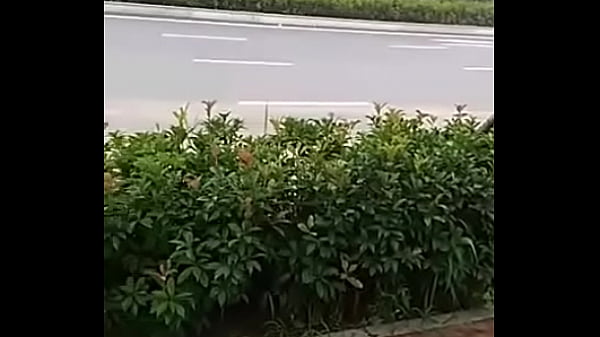 Roadside exposed
