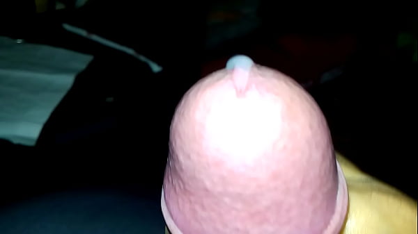 La mascota de la puta 3