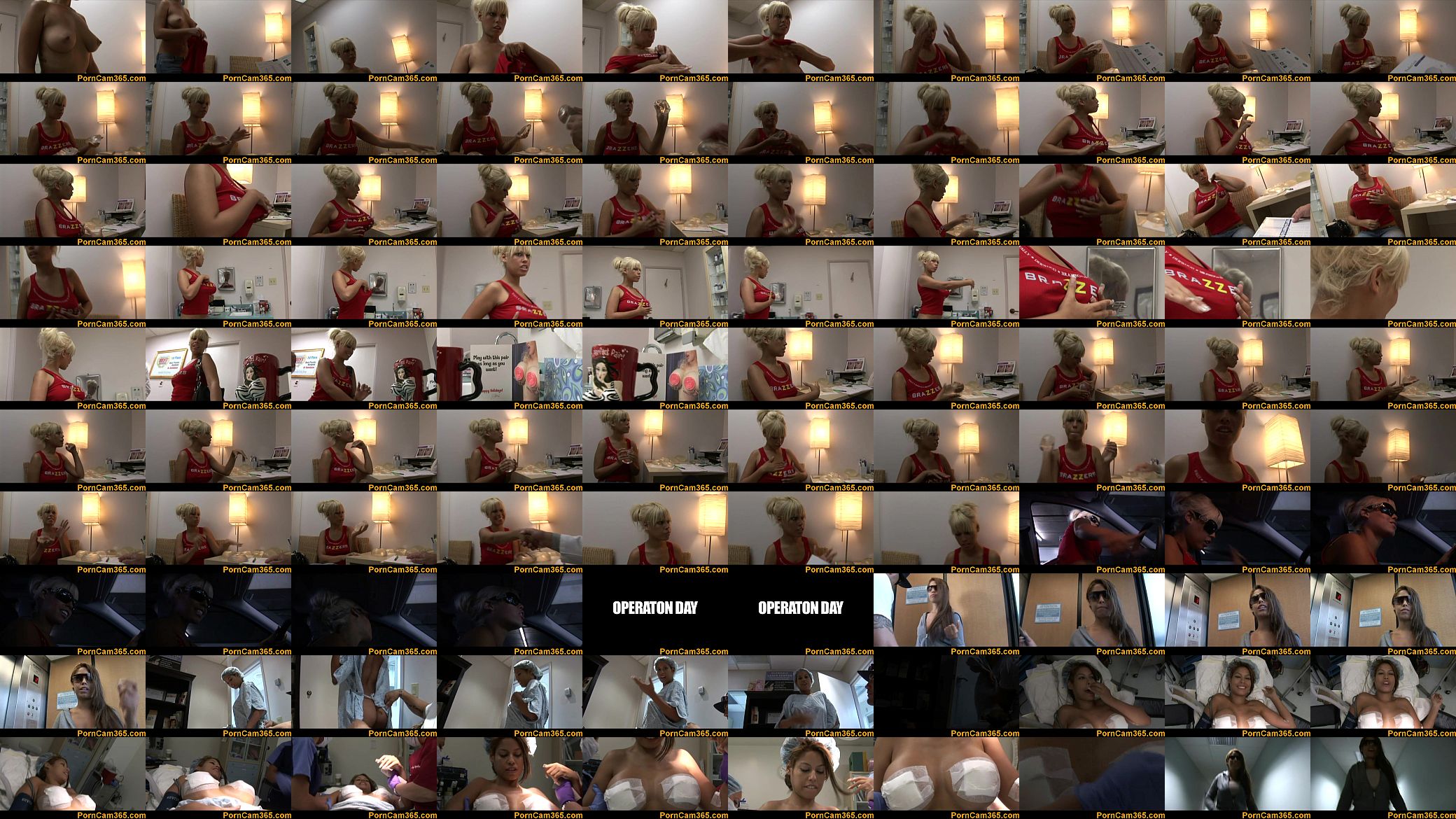 dwp bridgette b-sd169 clip2 01 预览图