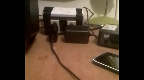 検証ビデオ